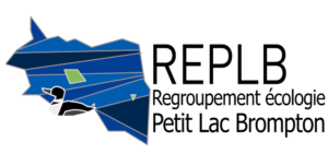 Logo du REPLB